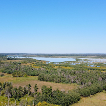 The State of the State of the Biosphere: Stories - Beaver Hills Biosphere